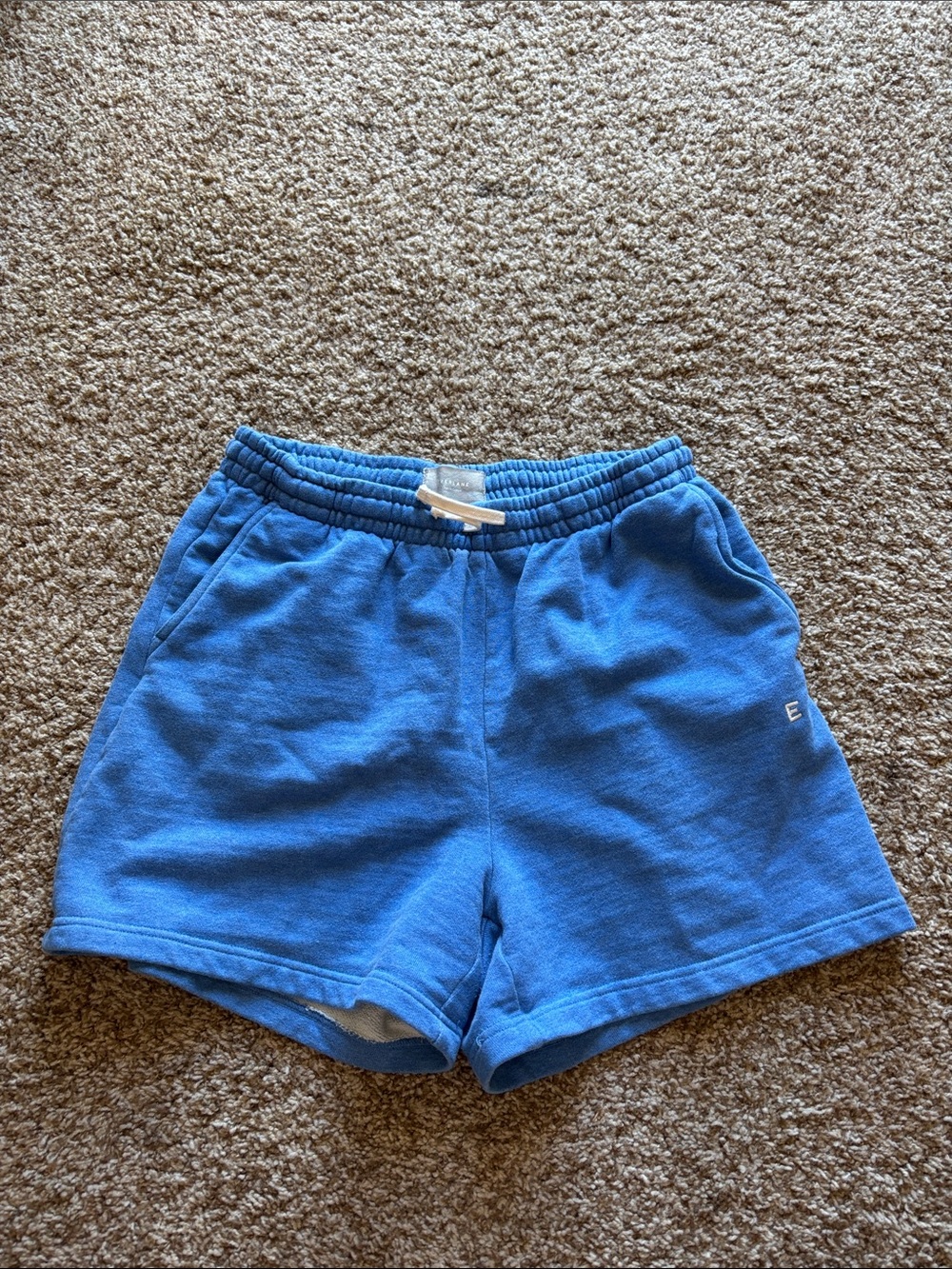 Everlane || Organic Cotton Blue Lounge Sweat Shorts Size L